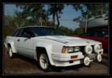 Nissan Silvia Gr N - 1